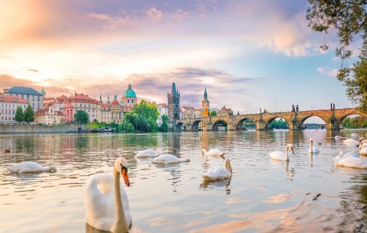 White Swan Boutique Apartments Prague Exterior photo